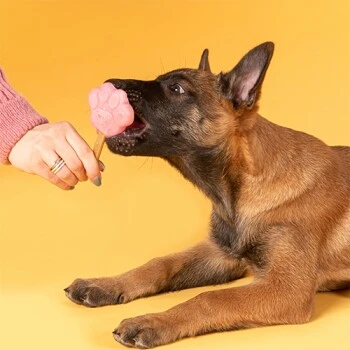 Smoofl Starterkit Für Welpen – Bild 2