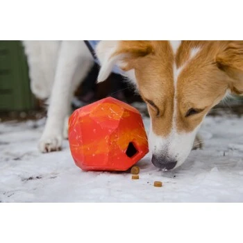 Ruffwear Gnawt-a-Rock™ Spielzeug Blau – Bild 8