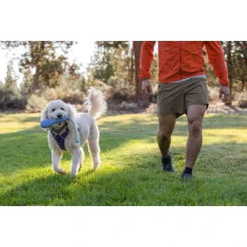 Ruffwear Gourdo™ Spielzeug L Violett – Bild 7