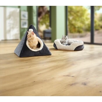 AniOne Liegeplatz Luna – Bild 4