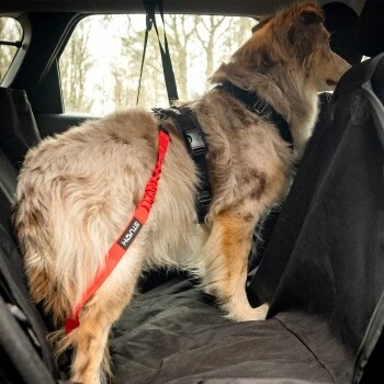 STUCH Universeller Bungee Autogurt Für Hunde & Katzen Schwarz – Bild 5