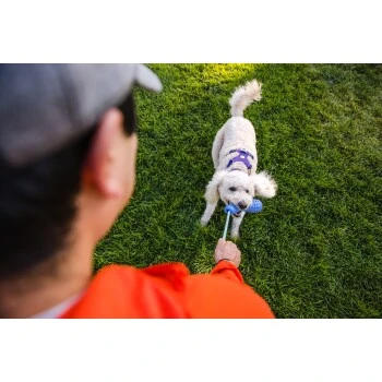 Ruffwear Gourdo™ Spielzeug S Grün – Bild 4