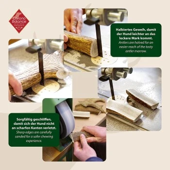 ChronoBalance Geweih Halbiert (XXL) 2er Paket – Bild 3