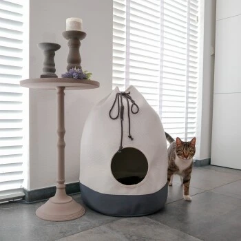 District 70 Höhle Casa Grau – Bild 3