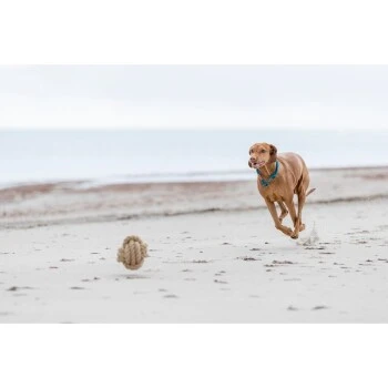 Trixie BE NORDIC Tau-Ball 18cm – Bild 6