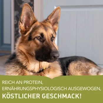 ACANA Adult Large Breed 11,4 Kg – Bild 3