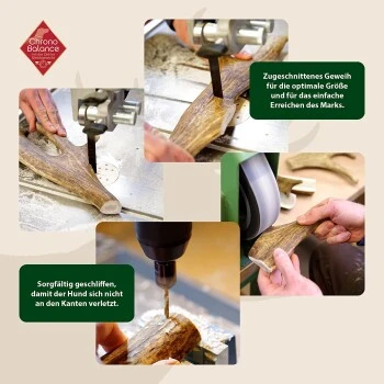 ChronoBalance Kaugeweih Damhirsch (S) 2er Paket – Bild 2