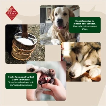 ChronoBalance Kuhmilch Käsestick (S) 2er Paket – Bild 3