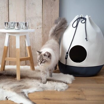 District 70 Höhle Casa Grau – Bild 2