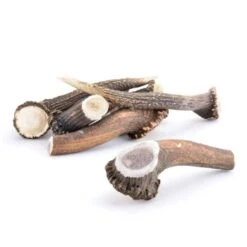 Larsson Geweih XXL Ca. 250-350g