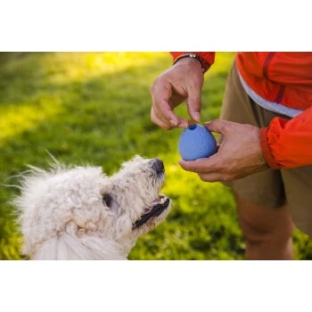 Ruffwear Turnup™ Spielzeug Violett – Bild 5