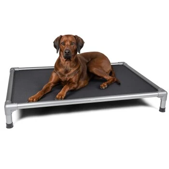 TrendPet HighBed Hochbett Für Hunde Grau M – Bild 4