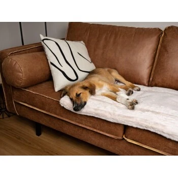 TrendPet Harmony Gefütterte Liegedecke Creme XS – Bild 3