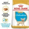 ROYAL CANIN Chihuahua Puppy 1,5 Kg