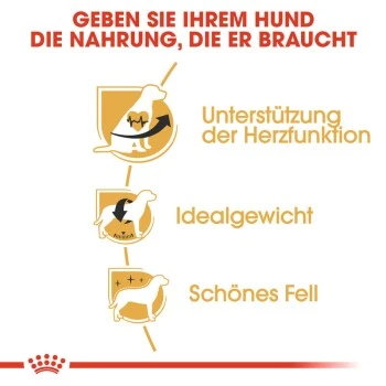 ROYAL CANIN Cavalier King Charles Adult 7,5 Kg – Bild 7