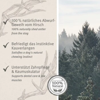 Aniforte Hochland Hirschgeweih Large – Bild 3