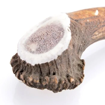 Larsson Geweih XXL Ca. 250-350g – Bild 2