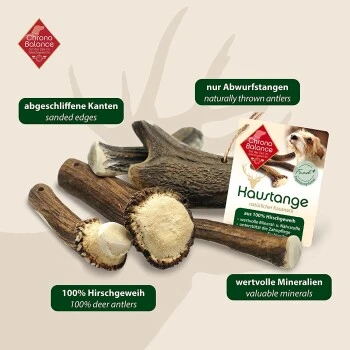 ChronoBalance Geweih Halbiert (XXL) 2er Paket – Bild 6