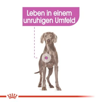 ROYAL CANIN Relax Care Maxi 9 Kg – Bild 7