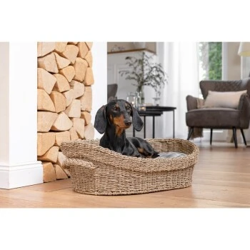 AniOne Korbbett S – Bild 6