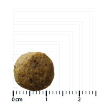 BOZITA Dog Original Puppy&Junior XL 12kg – Bild 2