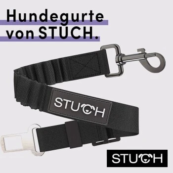 STUCH Universeller Bungee Autogurt Für Hunde & Katzen Schwarz – Bild 2