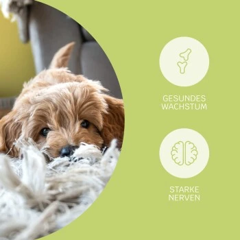 Mammaly Puppy Power 110g – Bild 3