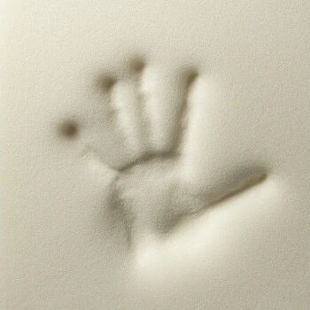 Rexproduct Otto Orthopädisches Hundebett Graphit S-XL Khaki S – Bild 3