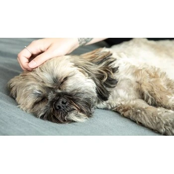 Mammaly Forever Young 110g – Bild 4