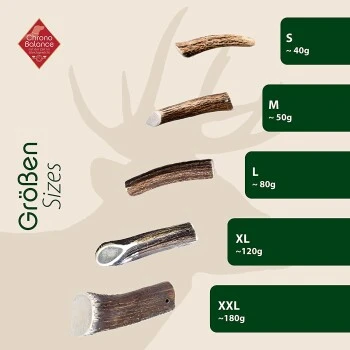 ChronoBalance Geweih Halbiert (L) 2er Paket – Bild 5