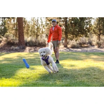 Ruffwear Gourdo™ Spielzeug L Violett – Bild 9