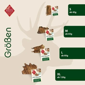 ChronoBalance Kaugeweih Damhirsch (S) 2er Paket – Bild 4