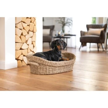 AniOne Korbbett S – Bild 5