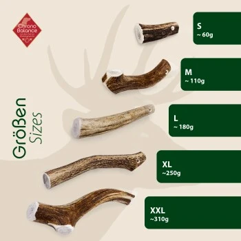 ChronoBalance Geweih Ganz (M) 2er Paket – Bild 5