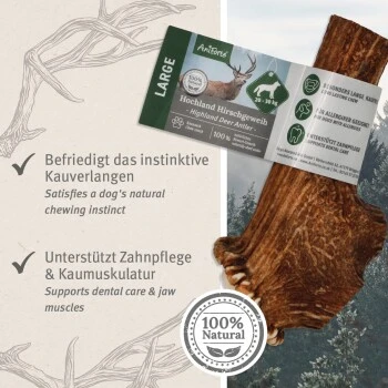 Aniforte Hochland Hirschgeweih Large – Bild 5
