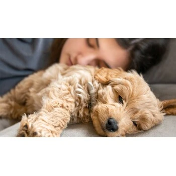 Mammaly Puppy Power 110g – Bild 7