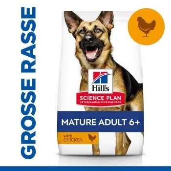 Hill's Canine Active Longevity Mature Adult 6+ Senior Large Breed 14 Kg – Bild 2